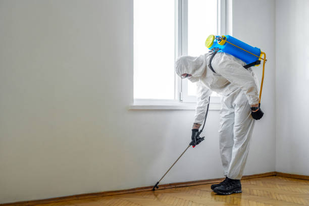 Best Pest Inspection Near Me  in Stanwood, WA
