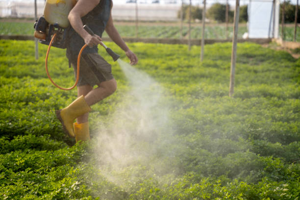Best Emergency Pest Control  in Stanwood, WA
